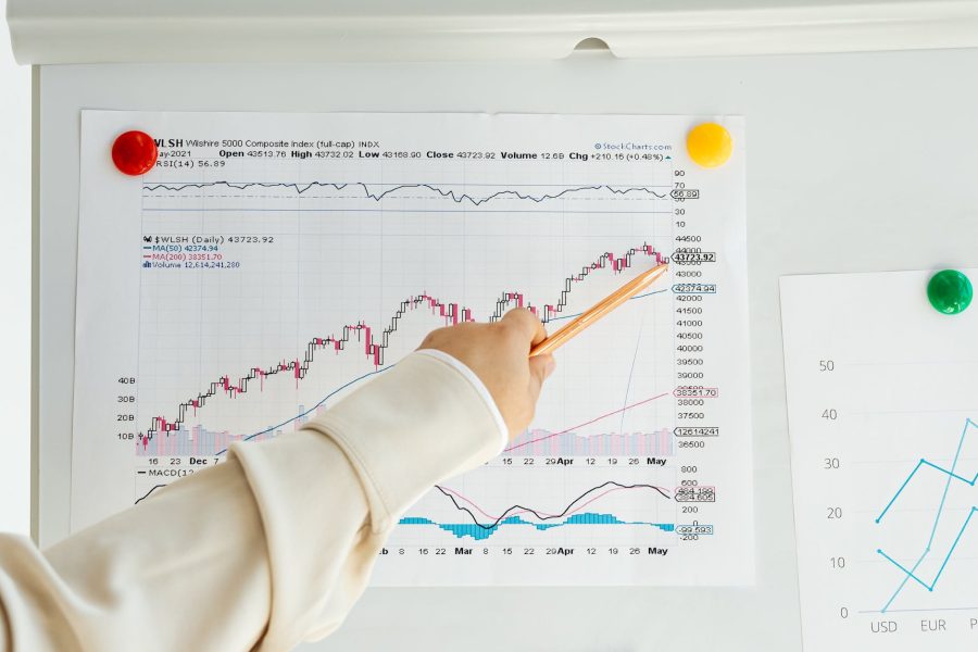 garnier swot analysis