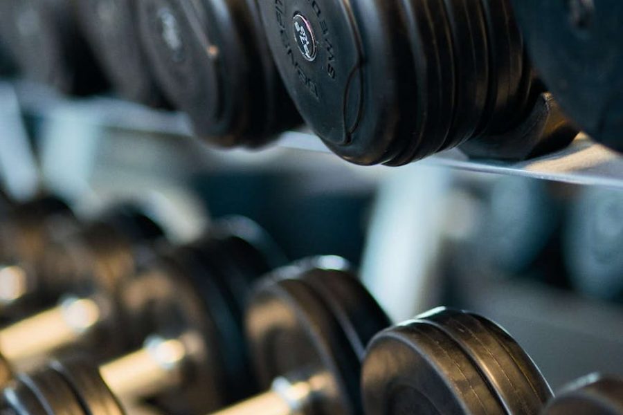petsmart strengths and weaknesses