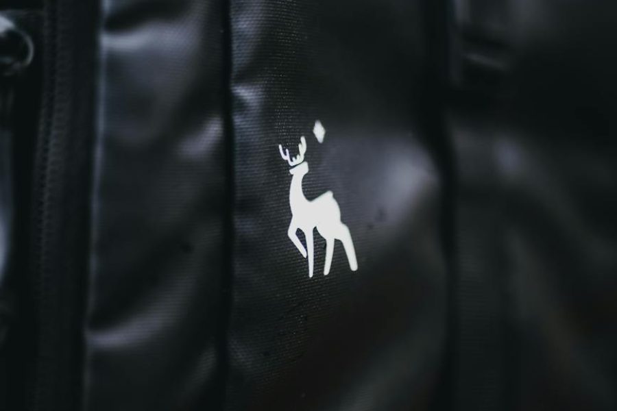 moschino brand image