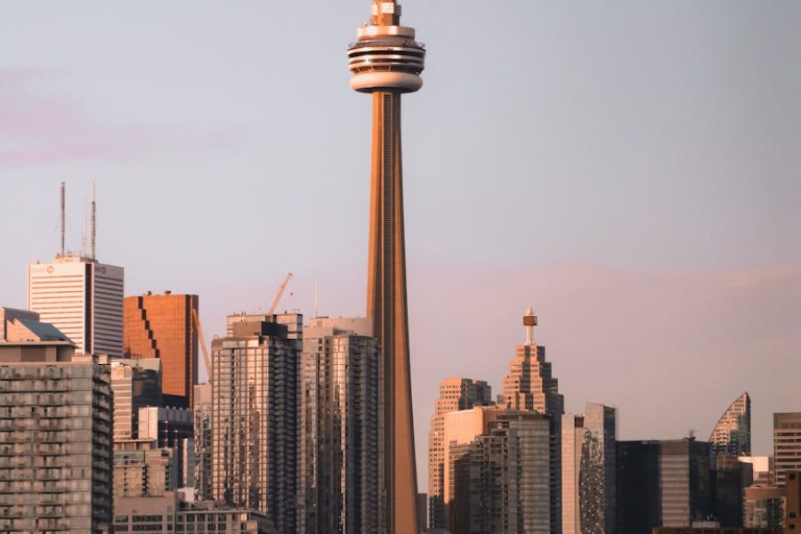 swot analysis of roots canada