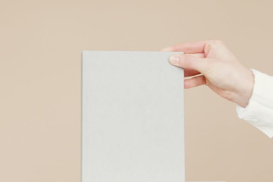 jacquemus brand identity