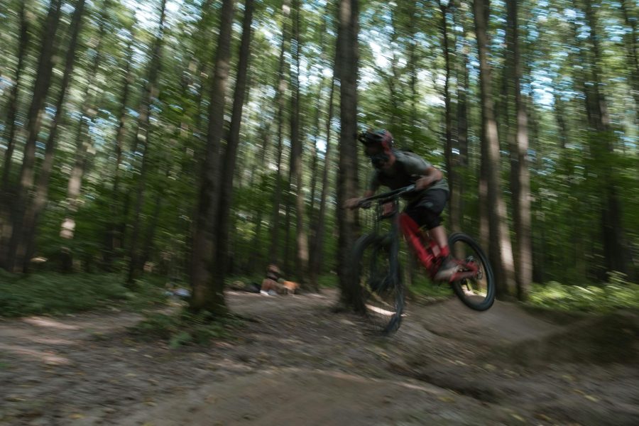 forest essentials competitive analysis