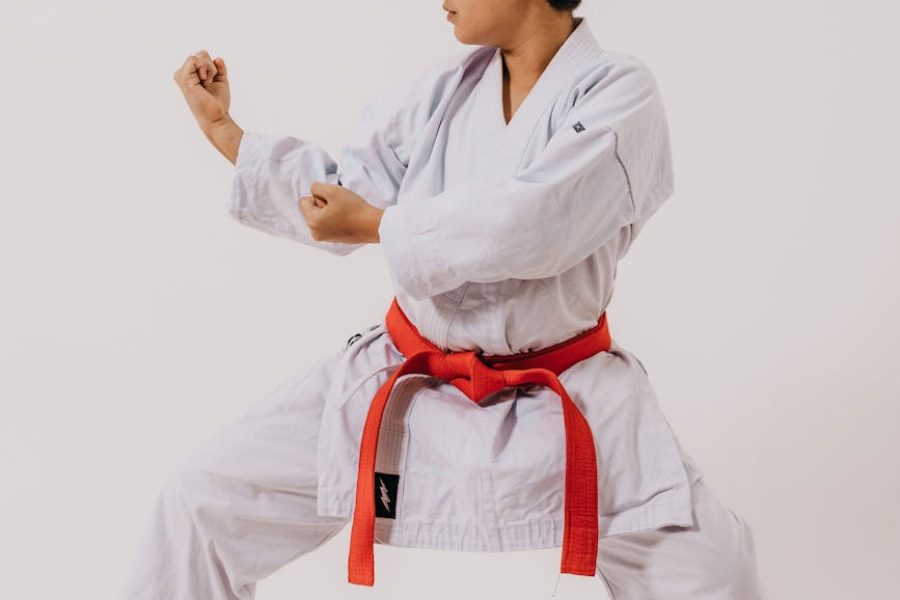 strengths of stella mccartney