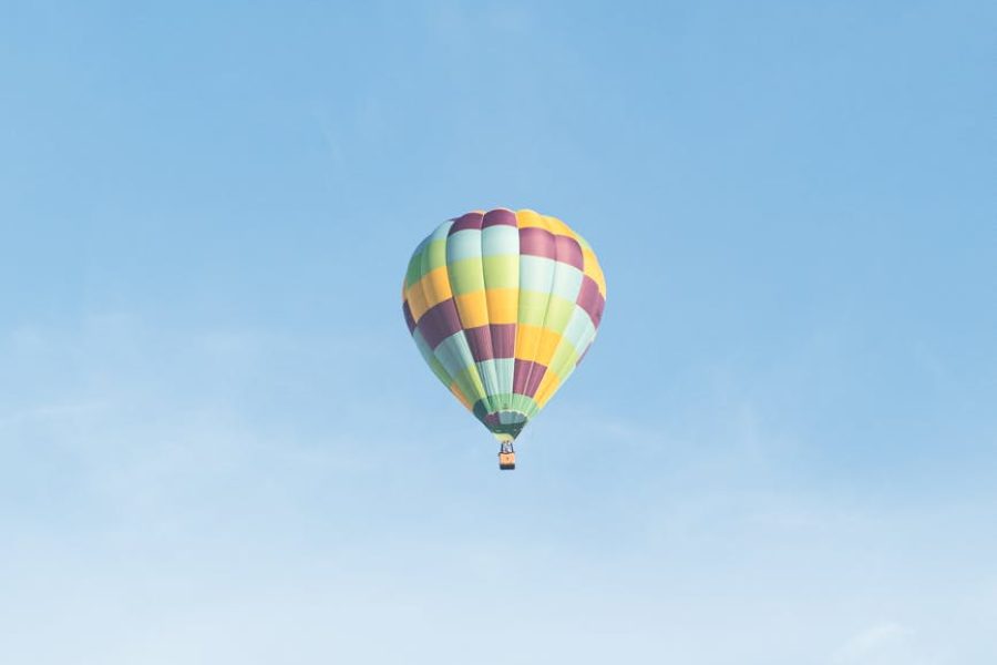 air new zealand opportunities