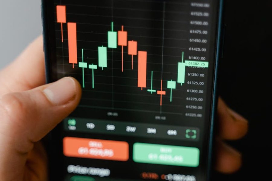 fitbit market analysis