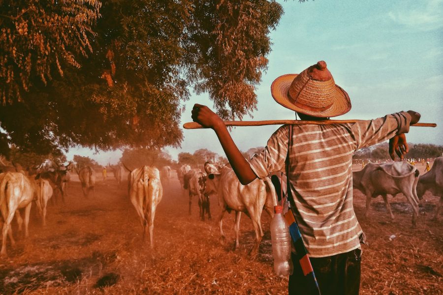 advantages of cattle farming