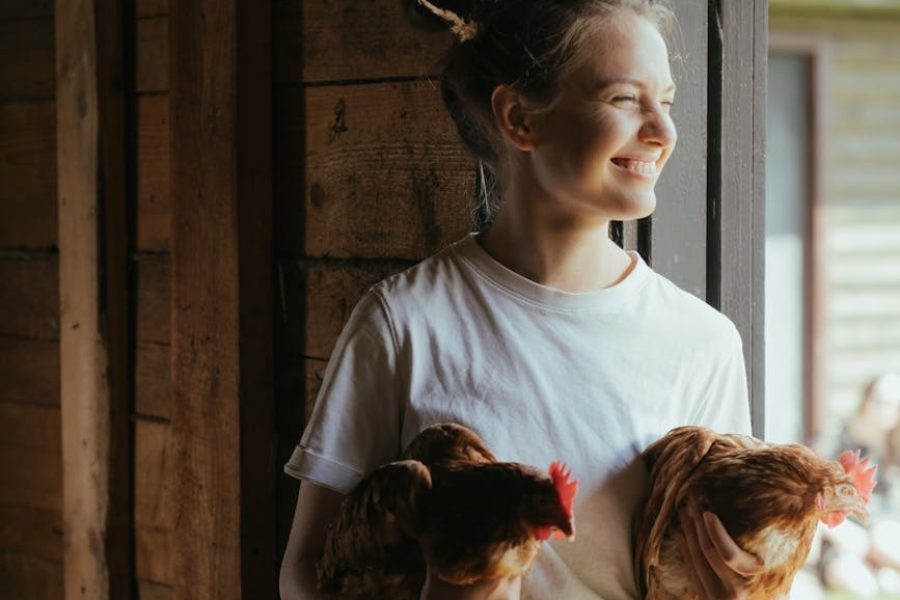 poultry farming swot analysis