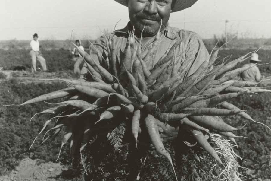 agricultural swot analysis