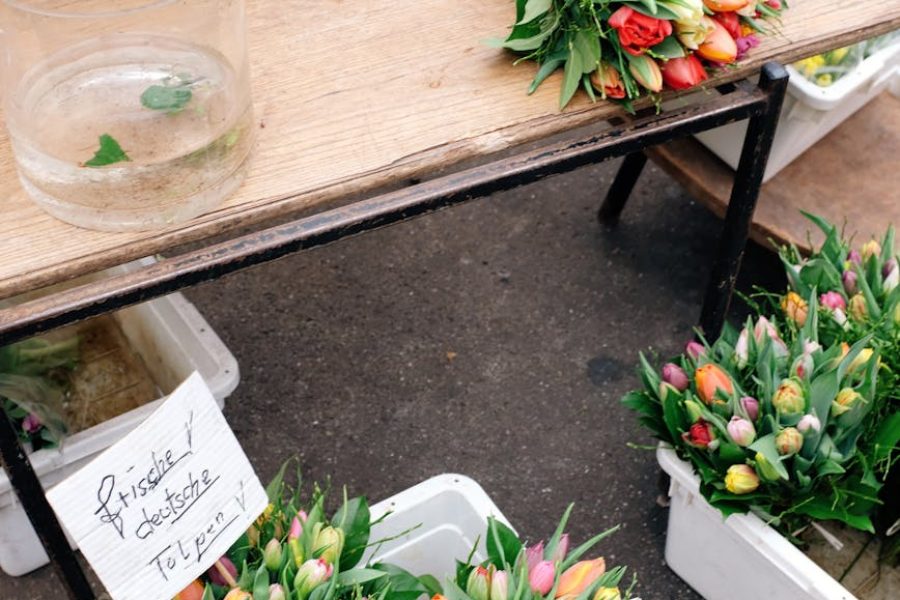 plastic packaging market trends