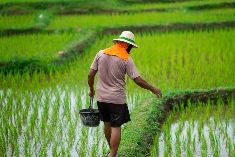 rice retailing business challenges
