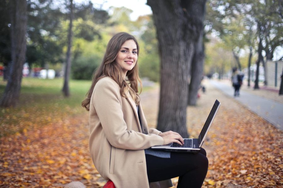 startup mentorship programs