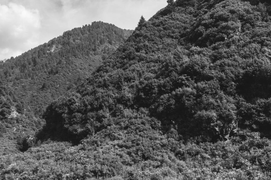 fastest-growing cpg startups