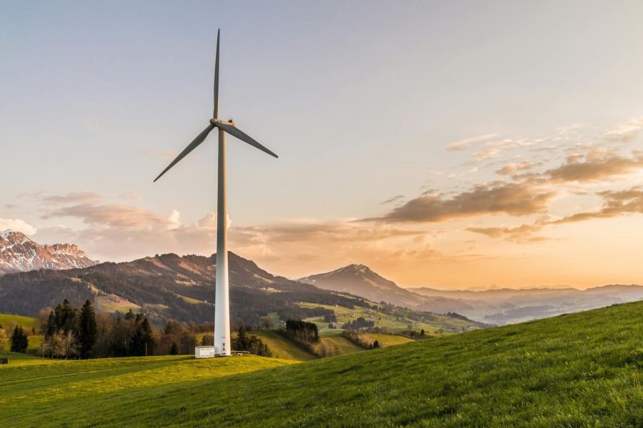 environmental entrepreneurship