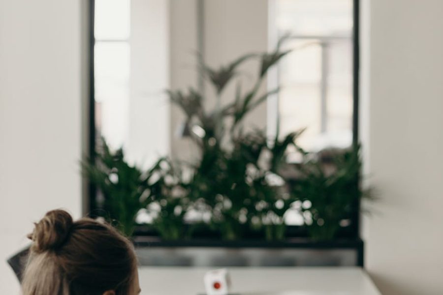 legal tech startups