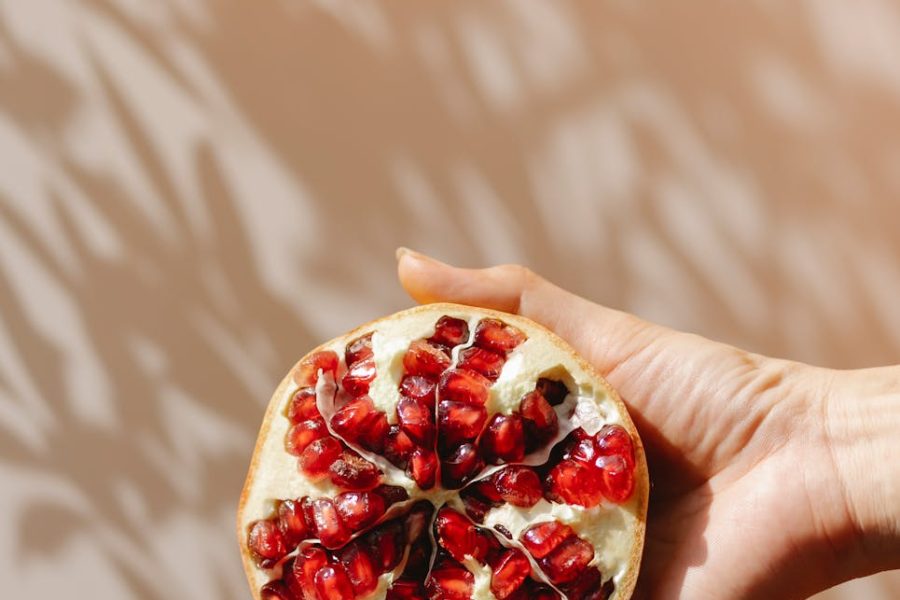 vegan food companies