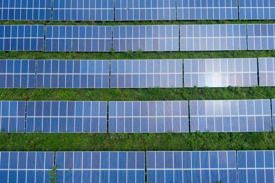 top renewable energy startups