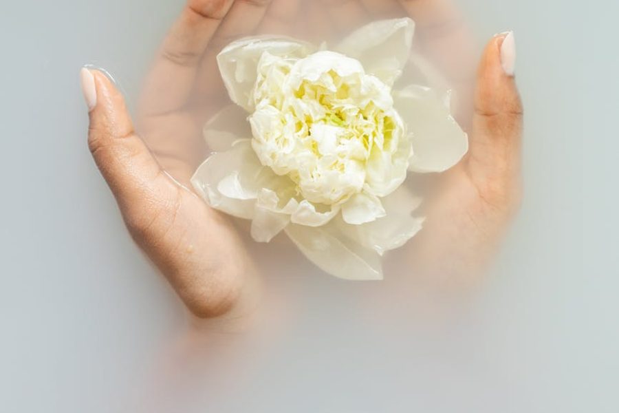 float therapy franchise opportunities