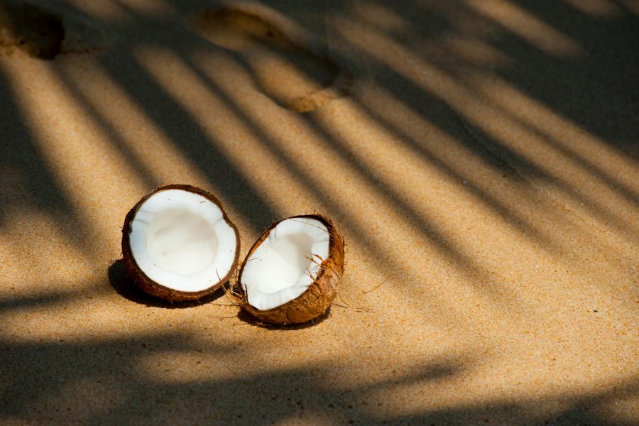 how to start a coconut water business