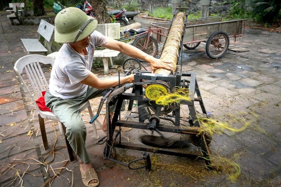 cashew processing business