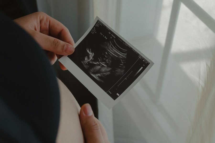 photo scanning software