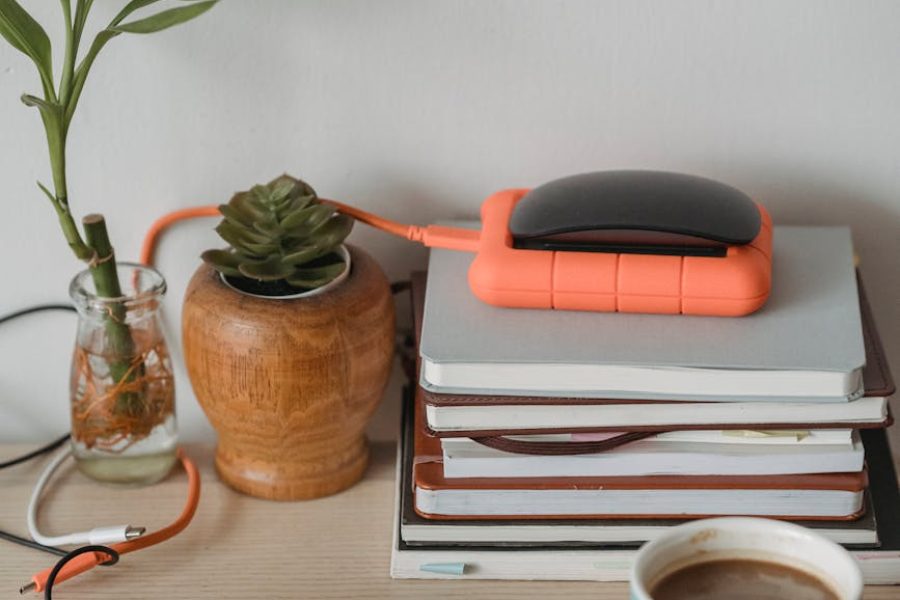 starting a succulent business