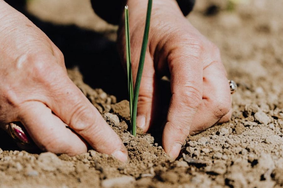 baker's job responsibilities