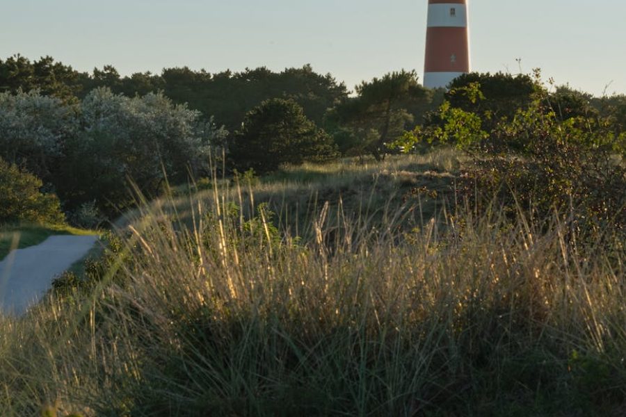 lighthouse keeper job description