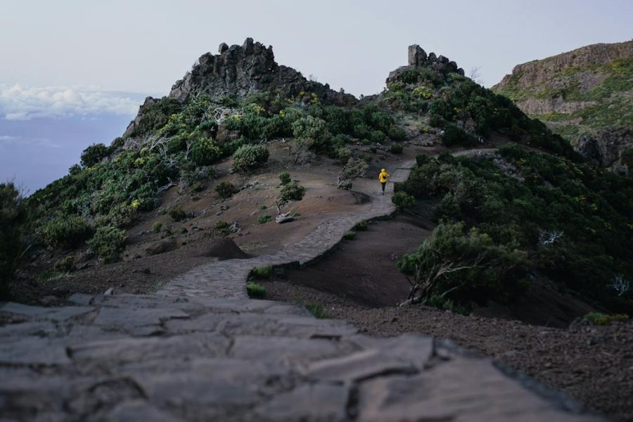 nutritionist career path