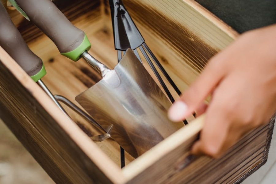 plastic surgeon career path