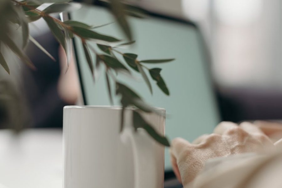 podiatrist career outlook