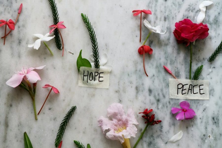 what does an epidemiologist do