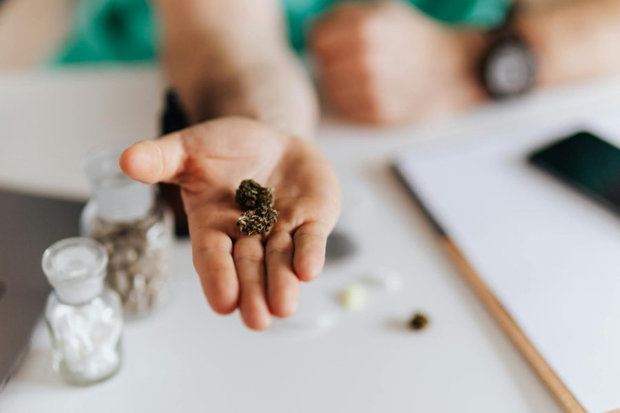 herbal medicine business ideas