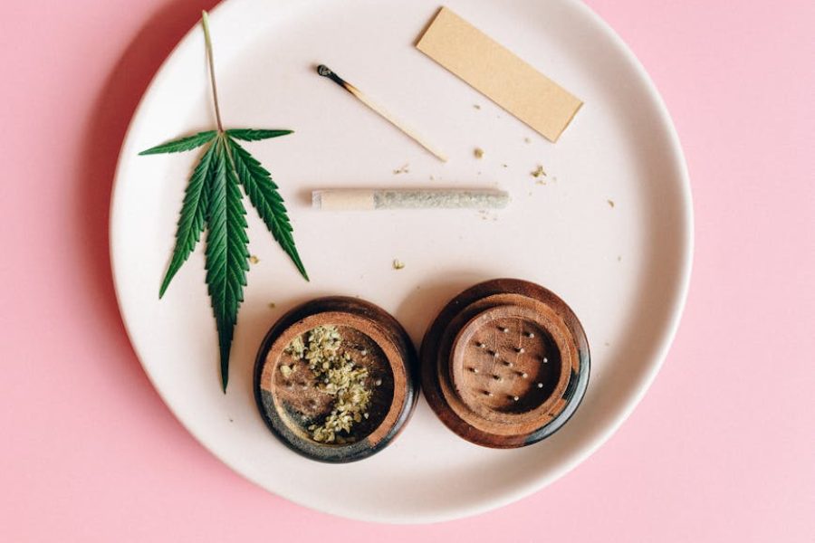 herbal medicine business license