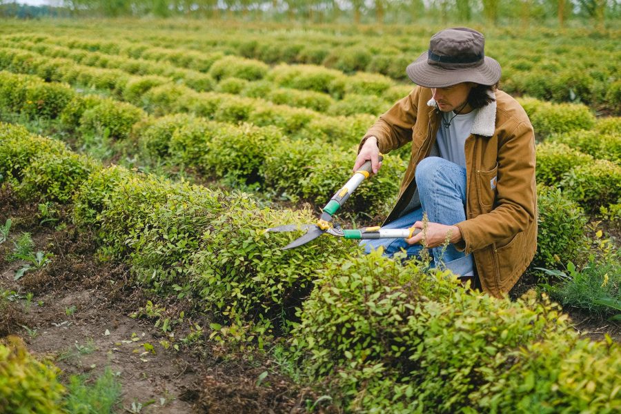 maintaining bush hogging equipment