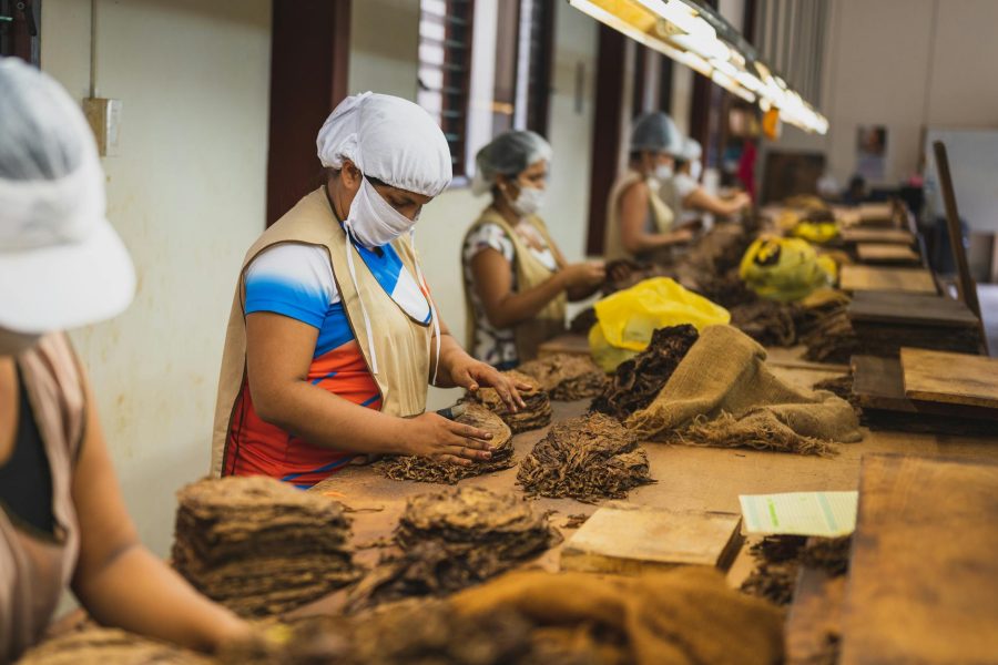 how to start a tobacco business