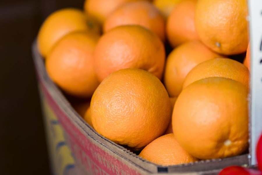 whole foods market analysis