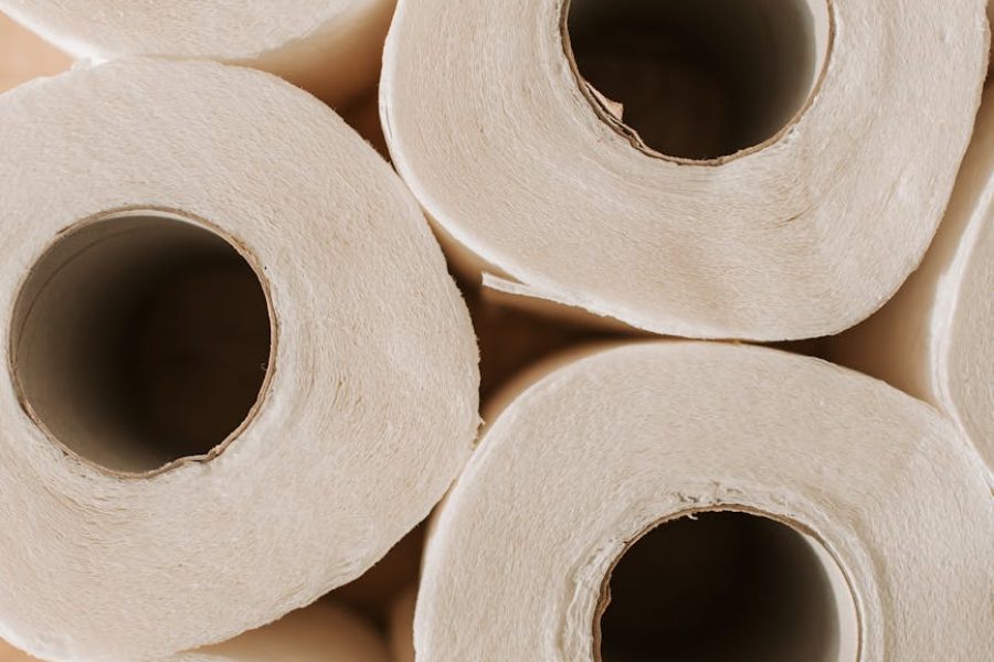Dominating the Industry Powerhouse Toilet Paper Manufacturing