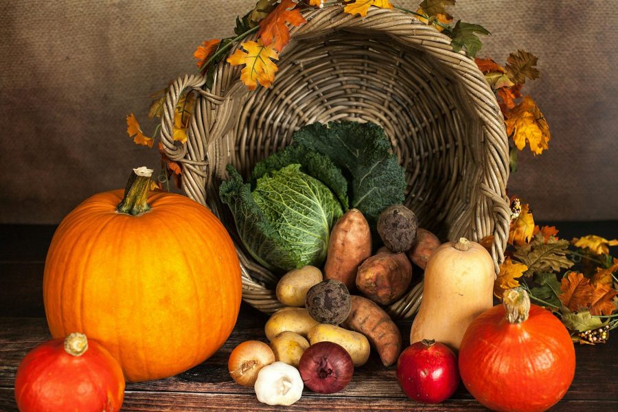 agricultural market research