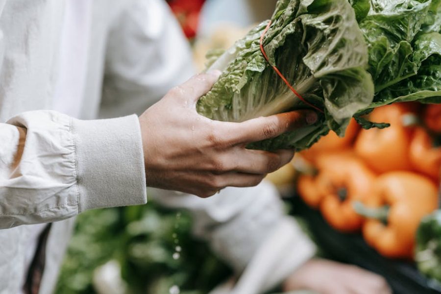 organic food market size