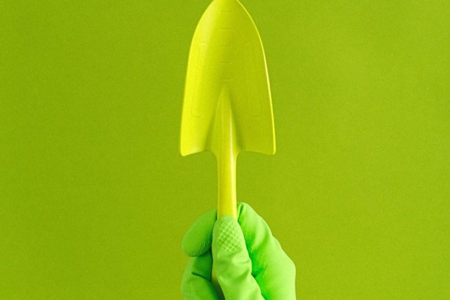 personal care industry market size