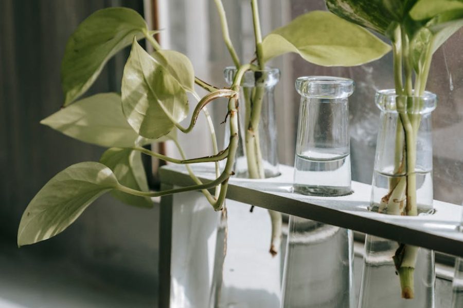 window cleaning market growth