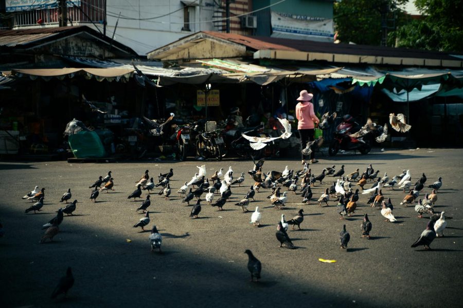 athleisure market outlook