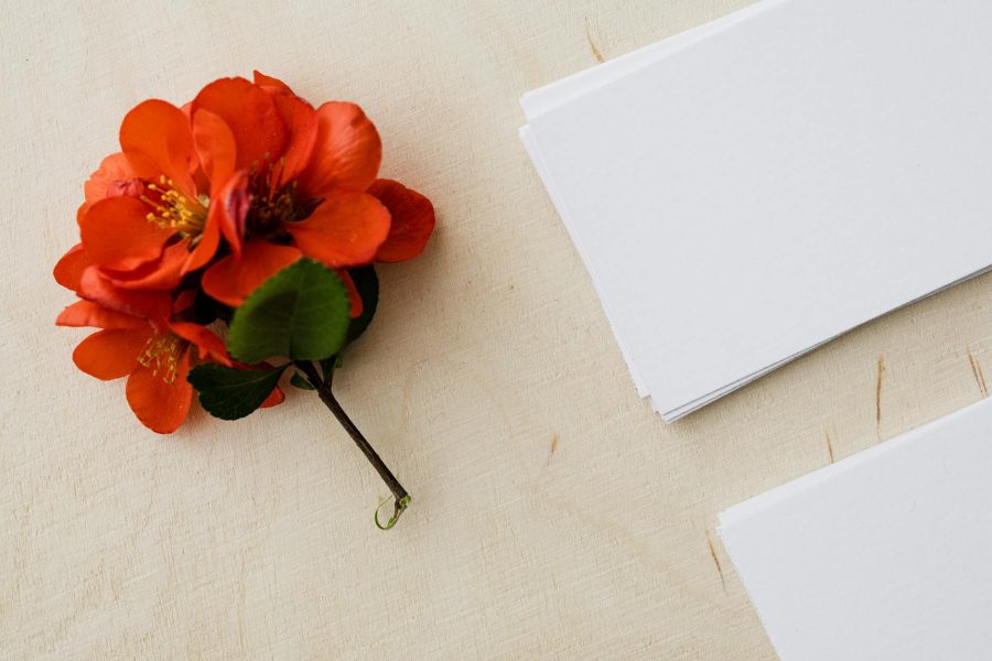 email marketing for beauty brands
