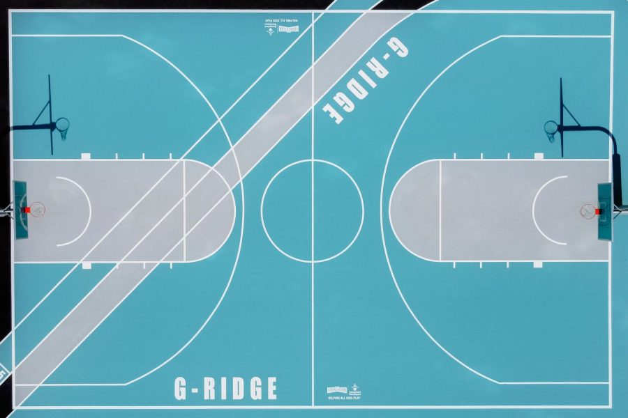 risk management plan template