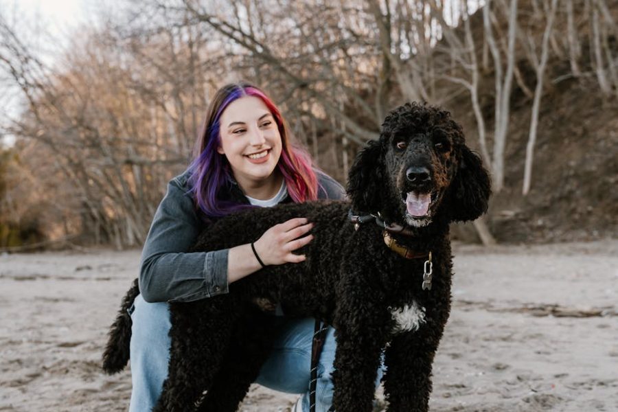 Discovering Dog Poop Scooper Franchise Opportunities Osum