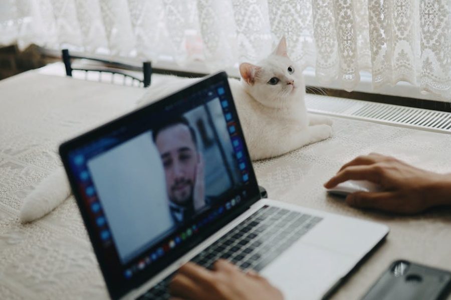 how to start a companion care business