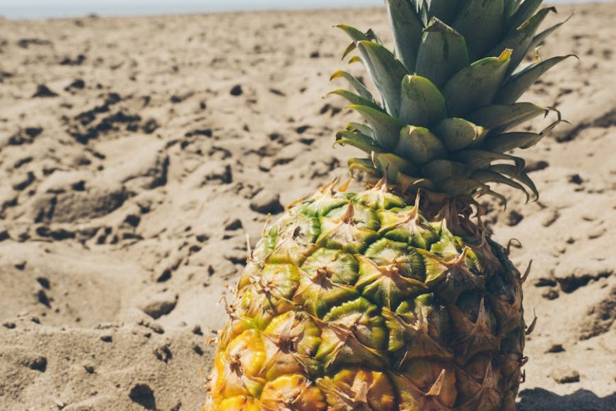 wholesale dry fruit distributors