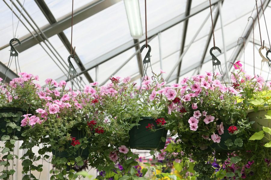 starting a plant nursery