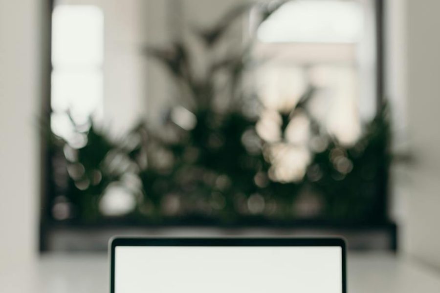 hosiery business startup guide