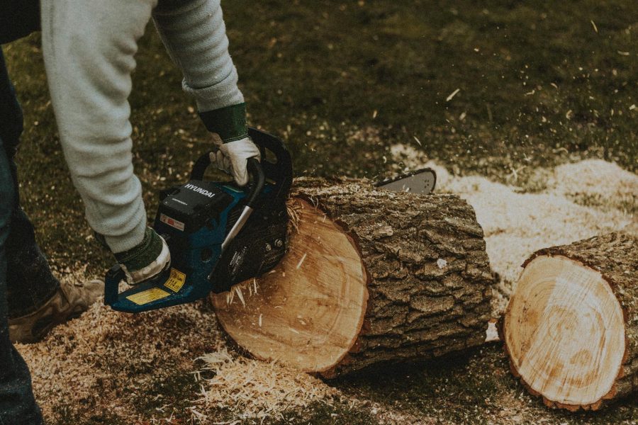 how to start a lumber yard business